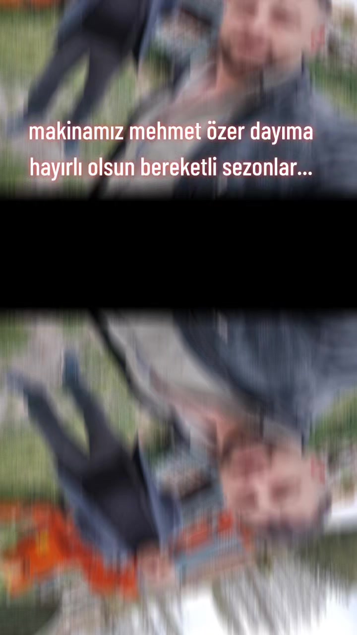 @SEDAT ALTIN