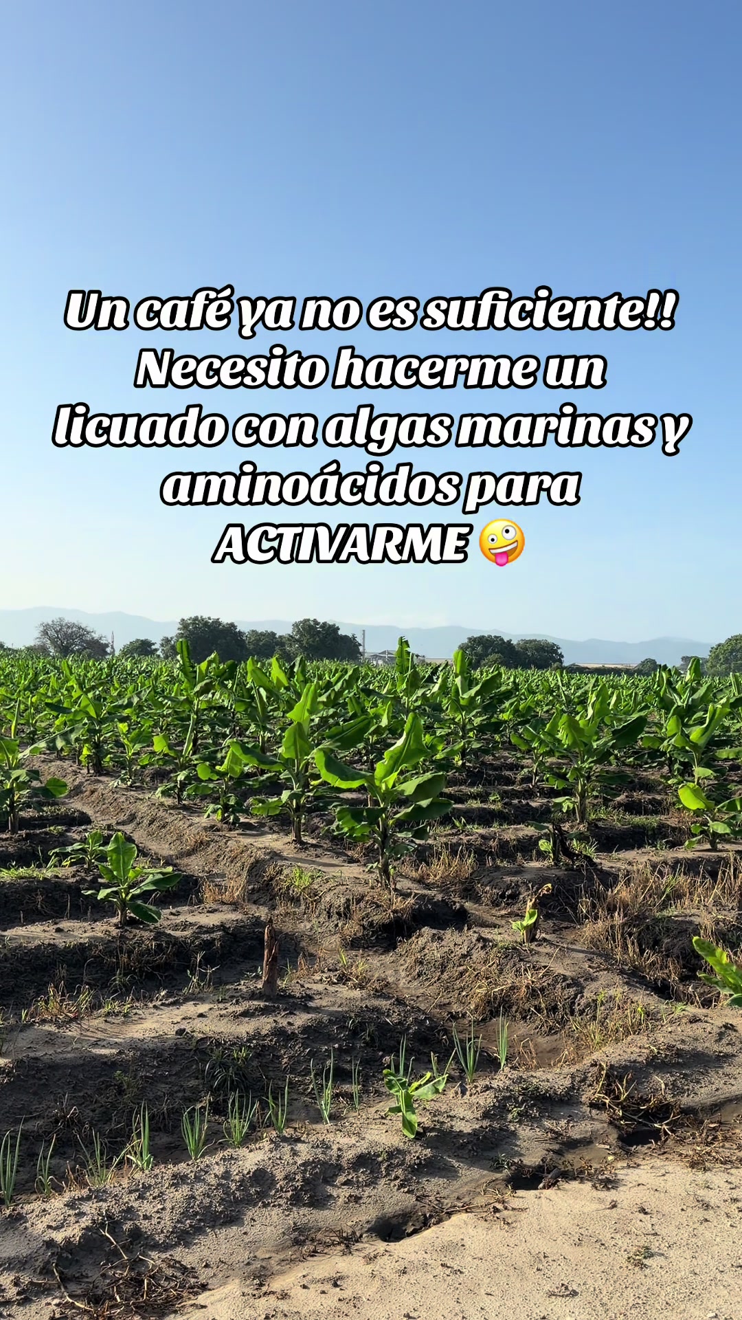 @soyagricultor