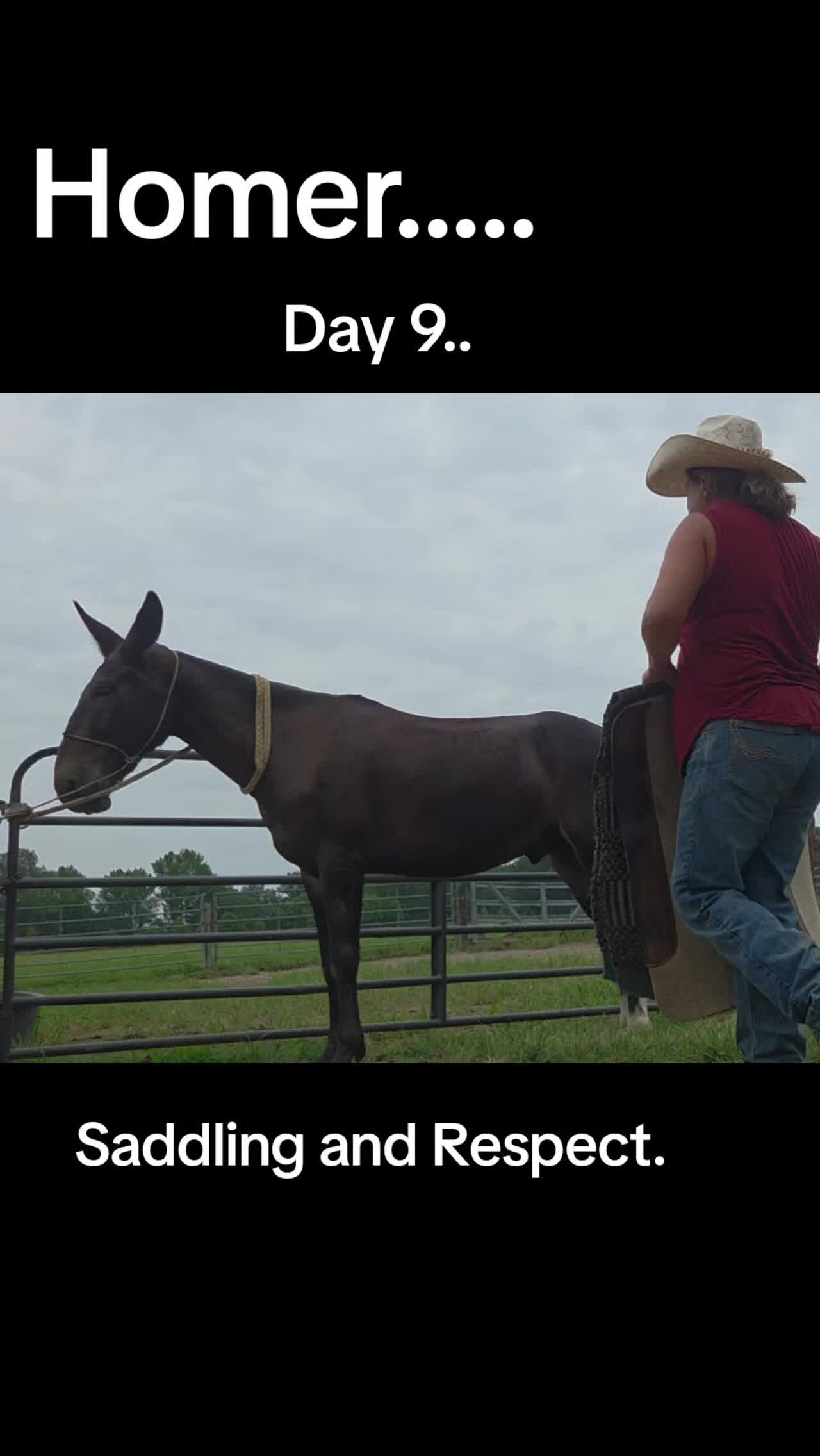 @CactusLMules
