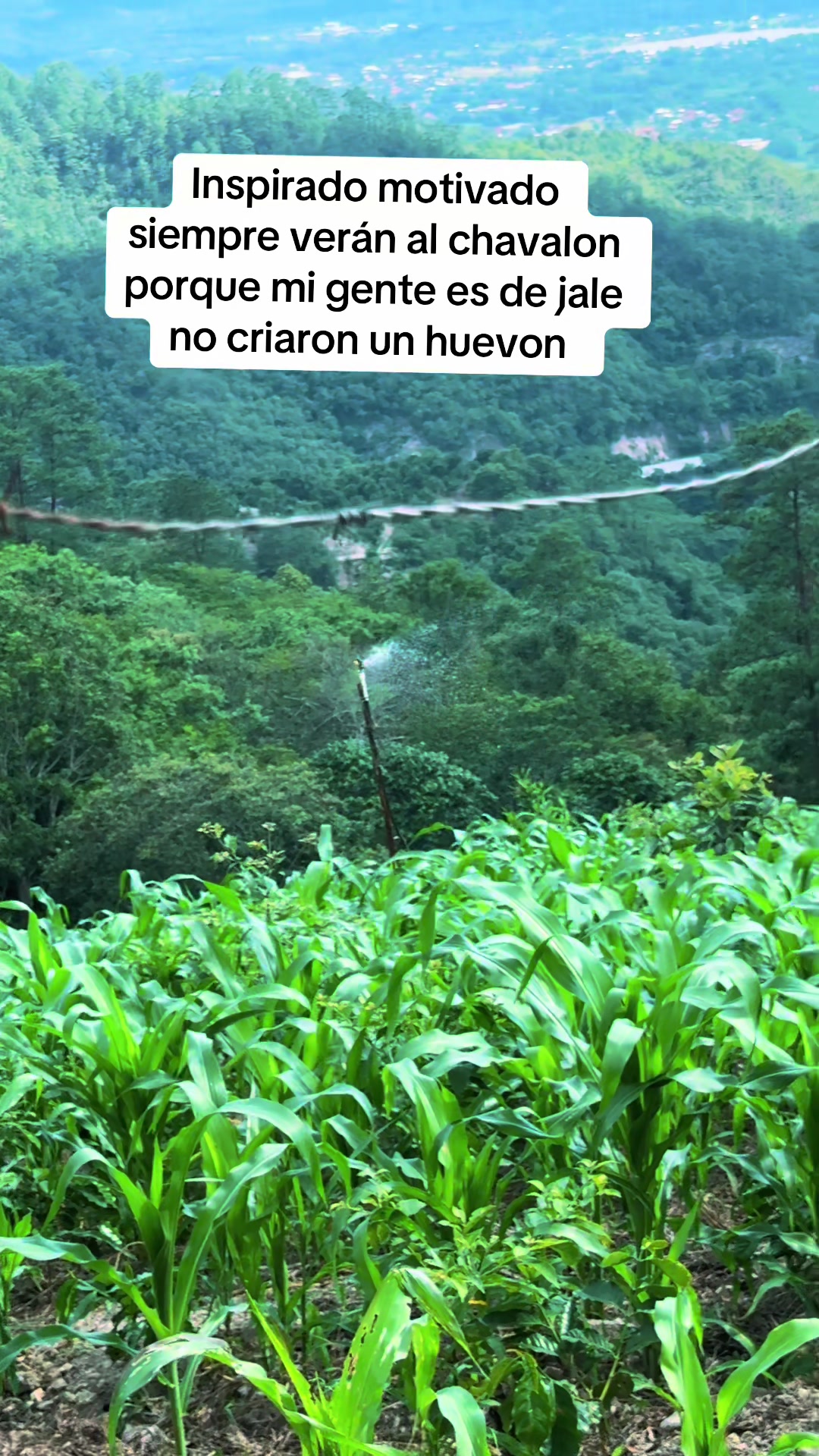 @Marlonsorto