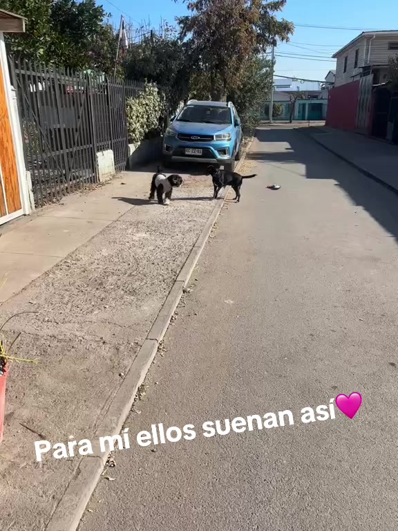 @😋gianebelen.18
