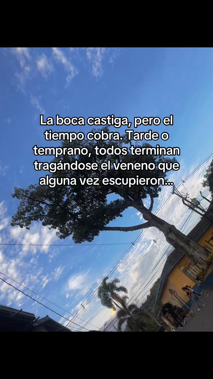 @Cifuentes 🏳️&zwj;🌈