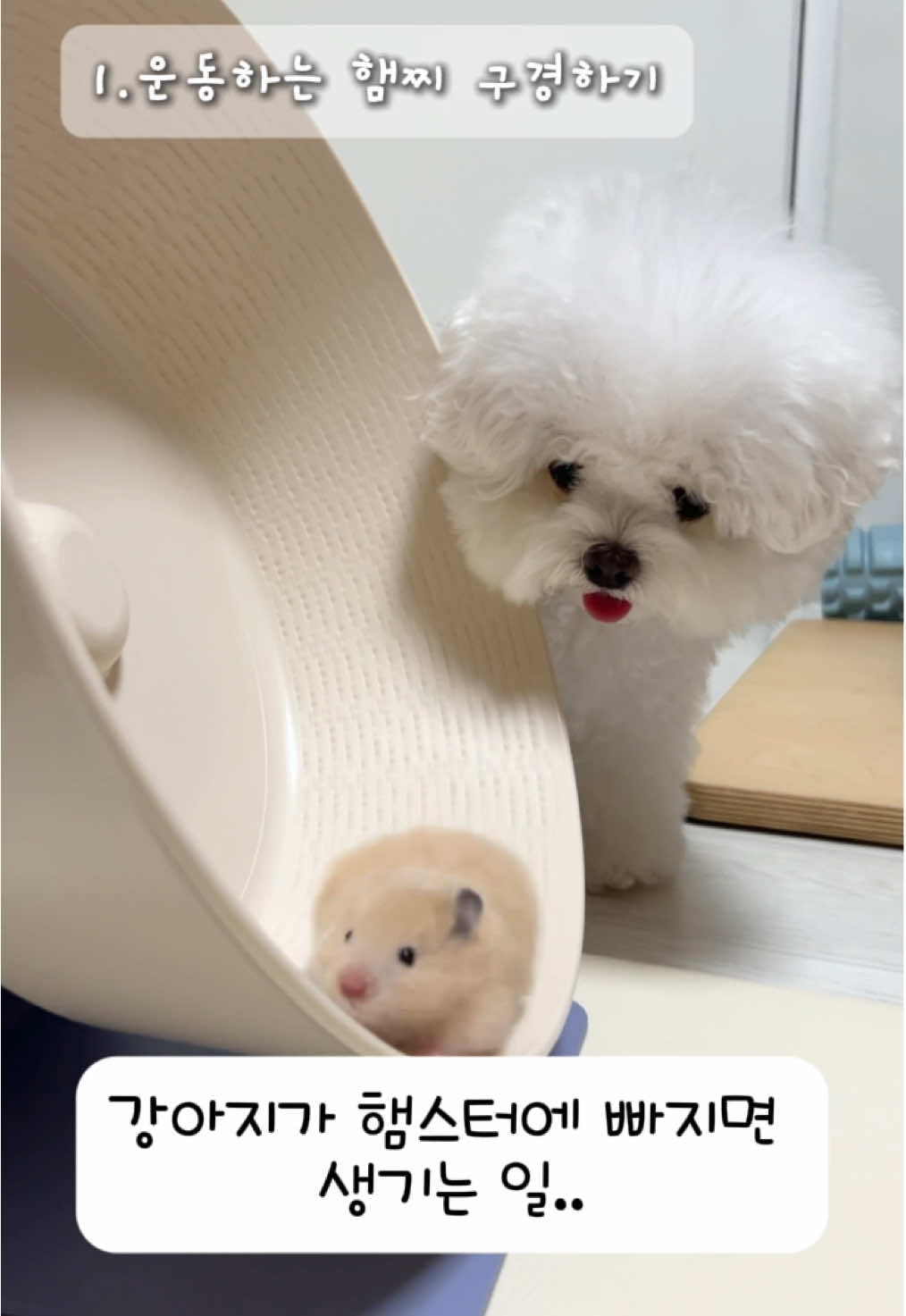 @메리하리