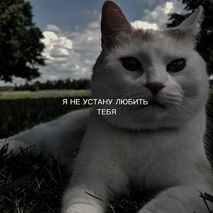 @ХХИКА