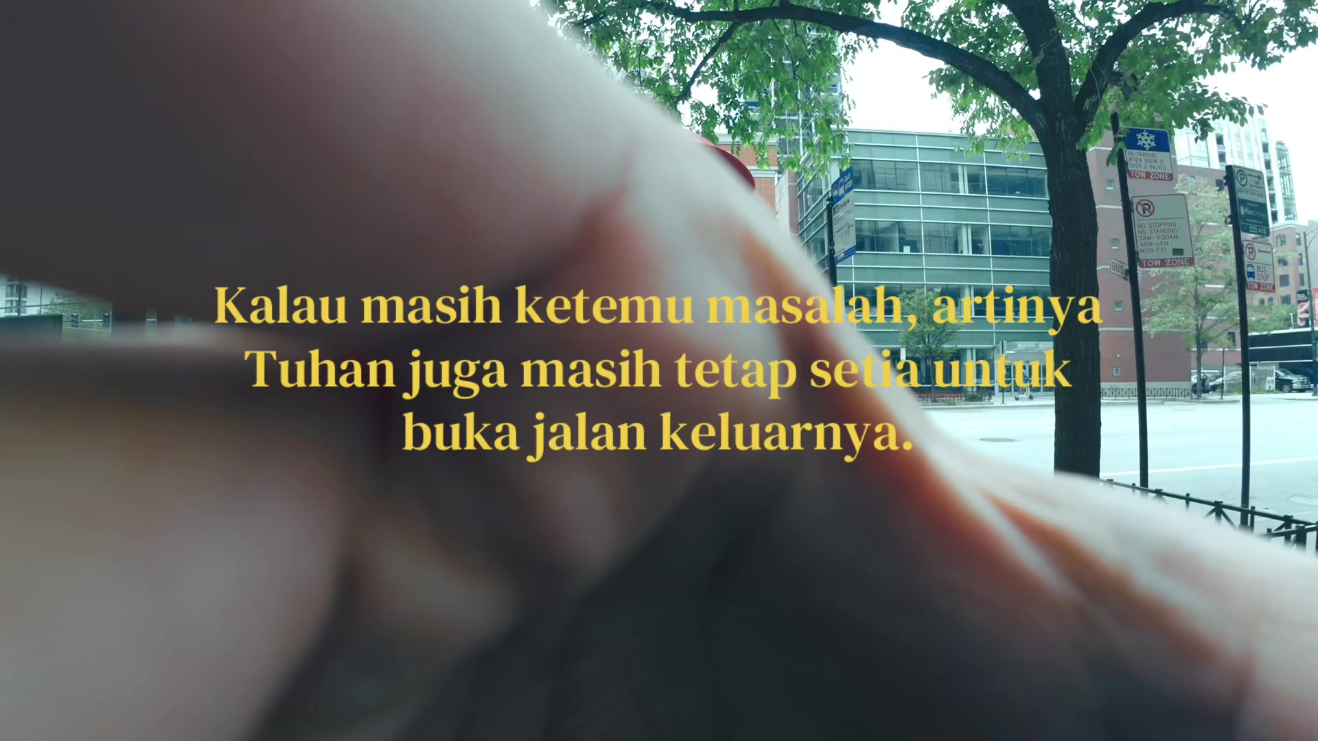 @Owak_elu