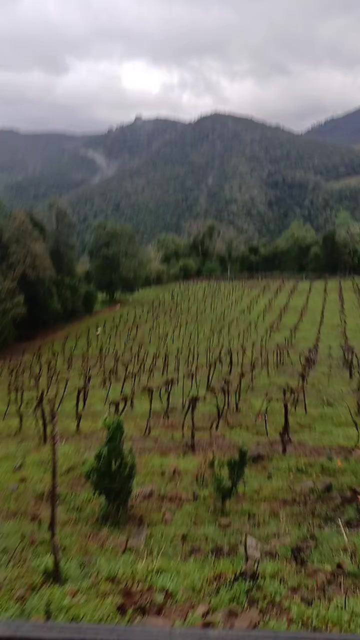 @Verônica Almeida