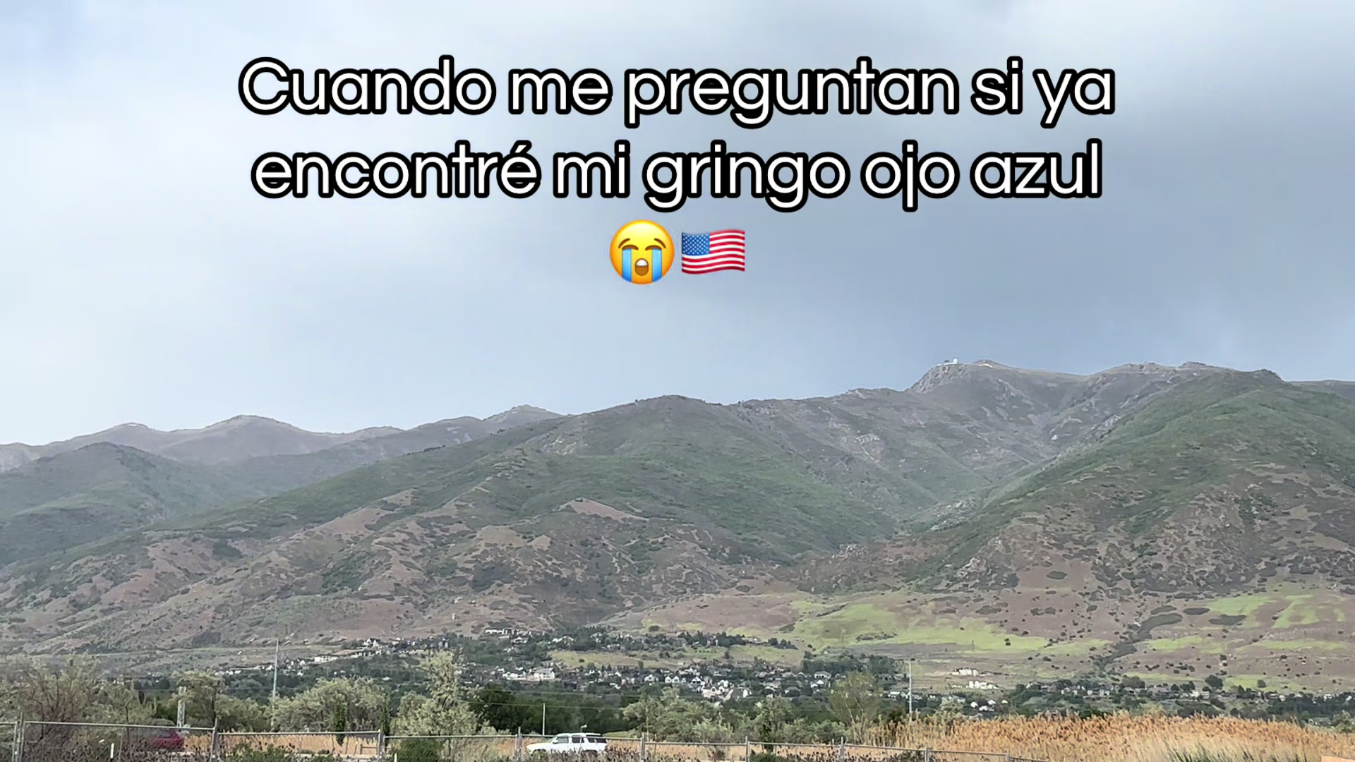 @saysilse