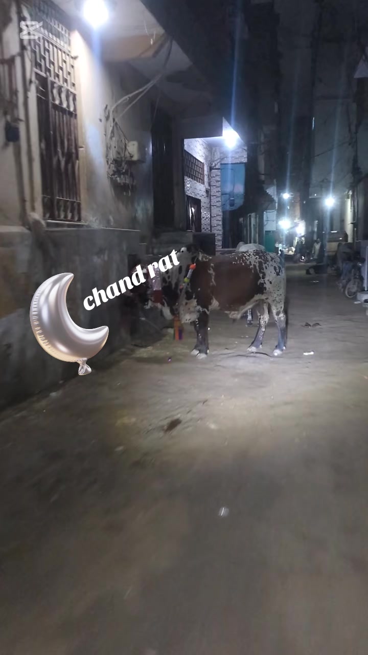 @🔥 ★ بـاغـی غـنـی ★🦅