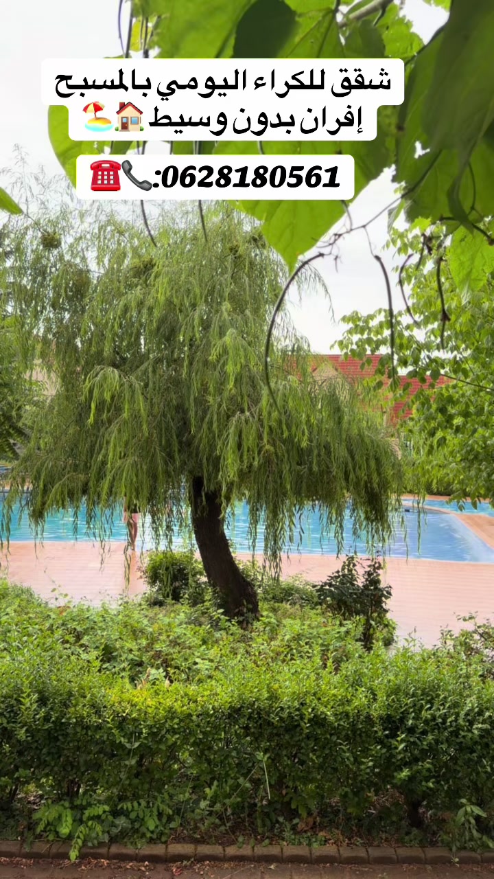 @appartement ifrane oualid