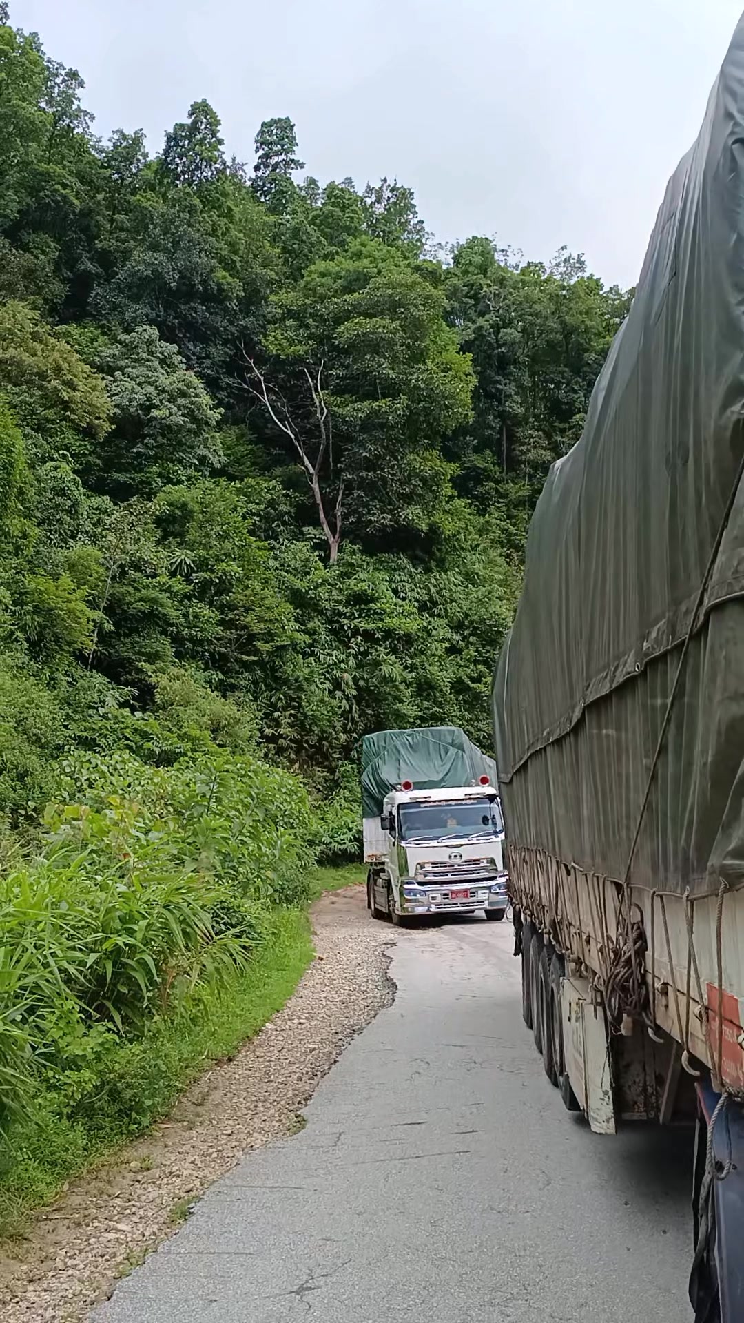 @မောင်ခန့်🧸ကျောက်ဆည်သား🐘