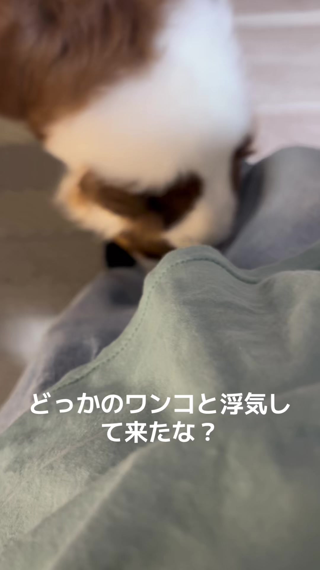 @サン&タマ