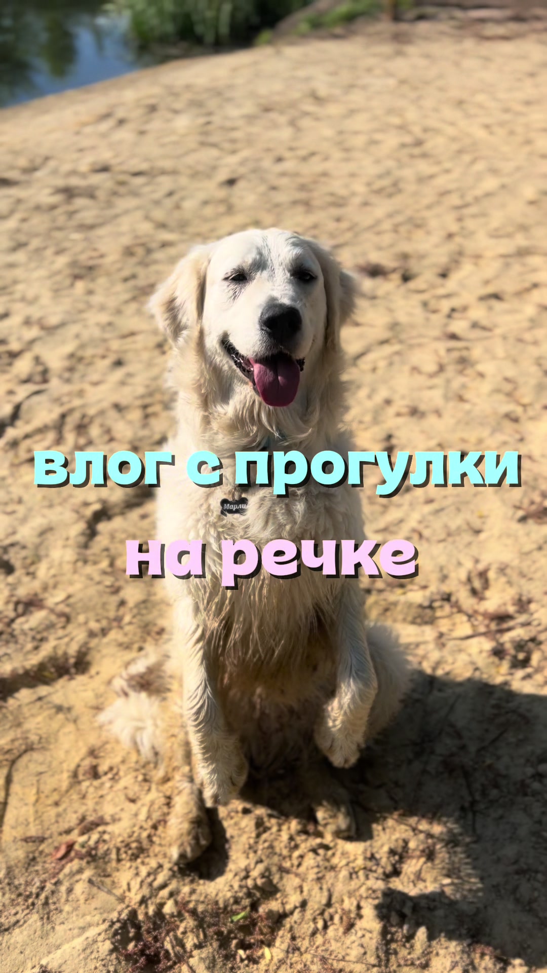 @𐔤ɯᥲᥴⲧыύ ⲙᥲρ᥈υ🥏