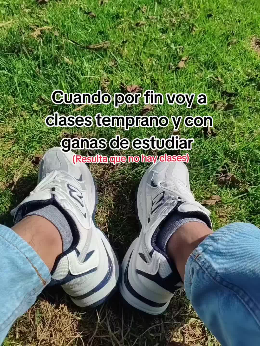 @Frank🧃