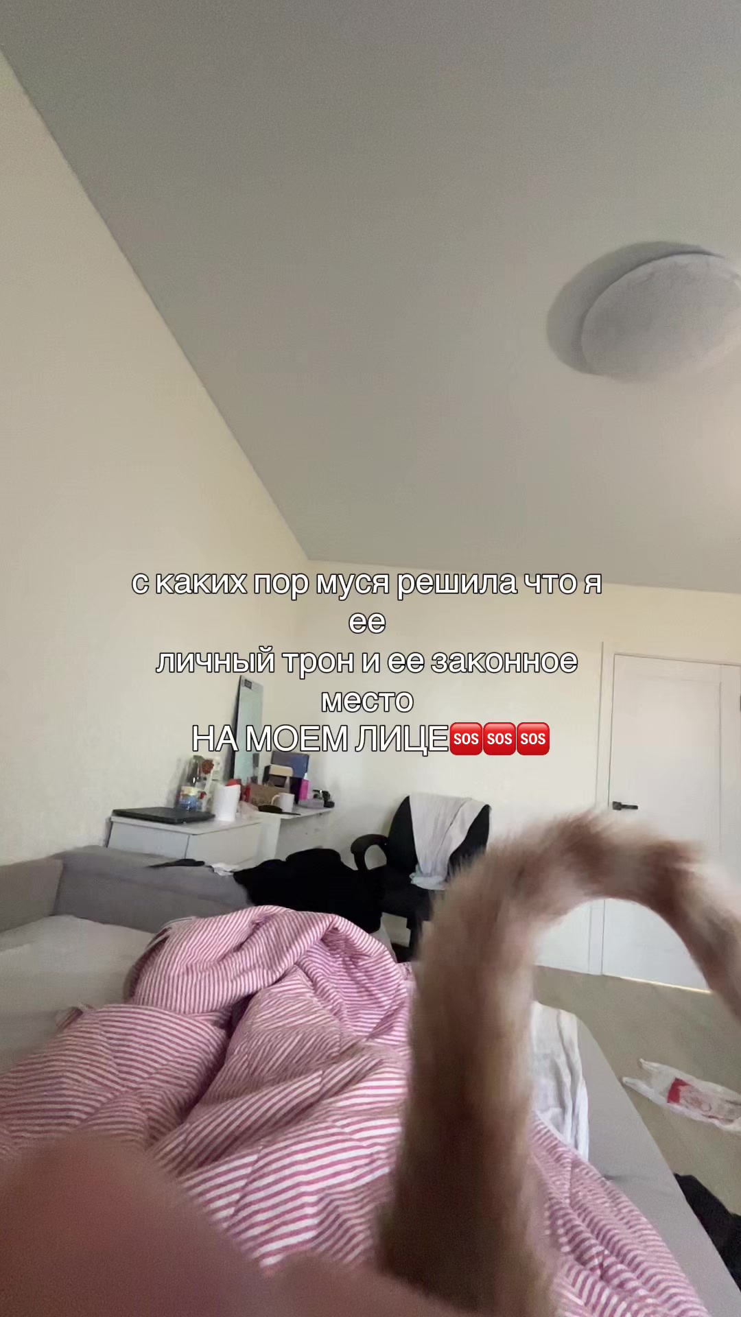 @varv