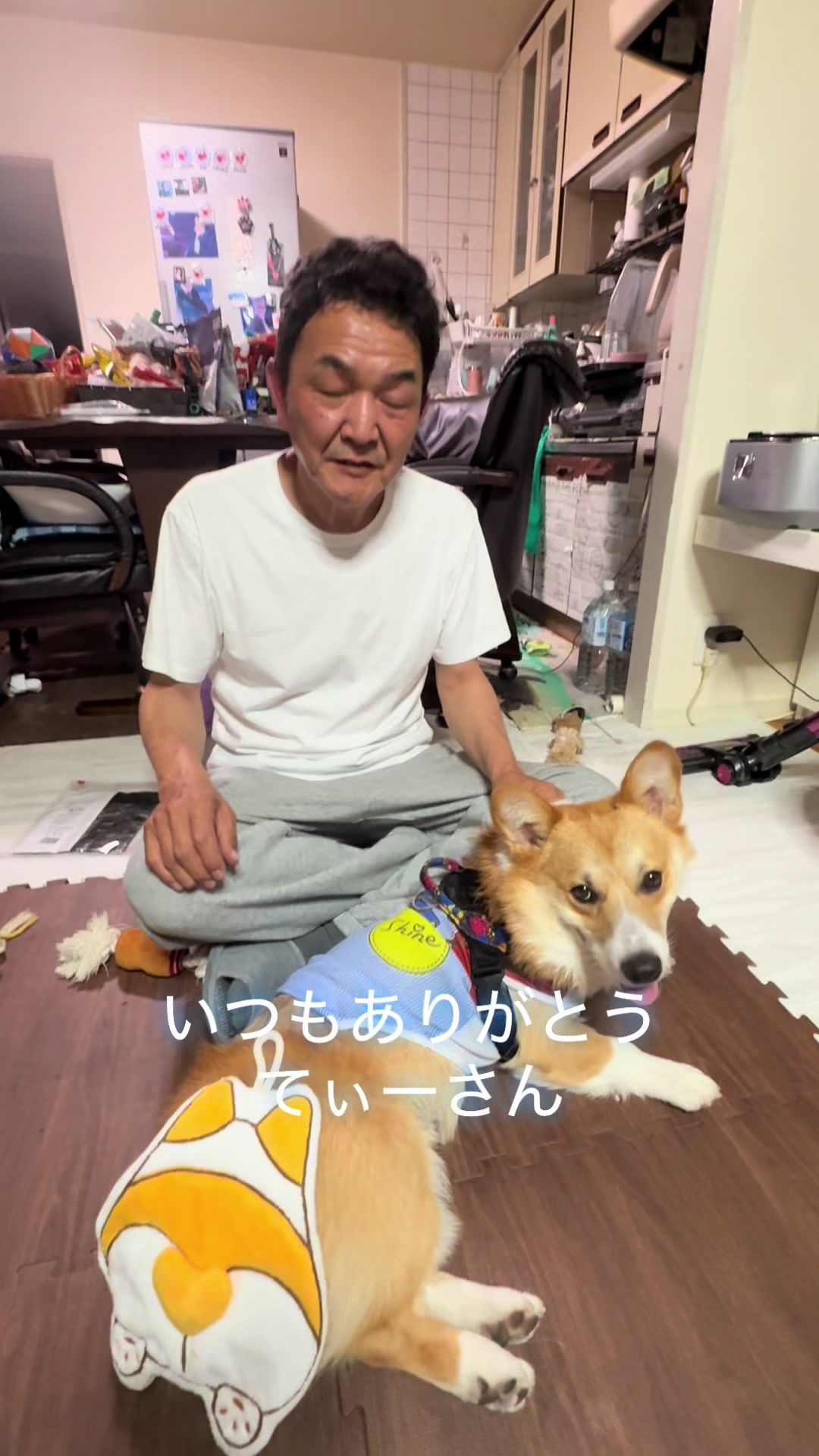 @🐾じゅんこ🐾