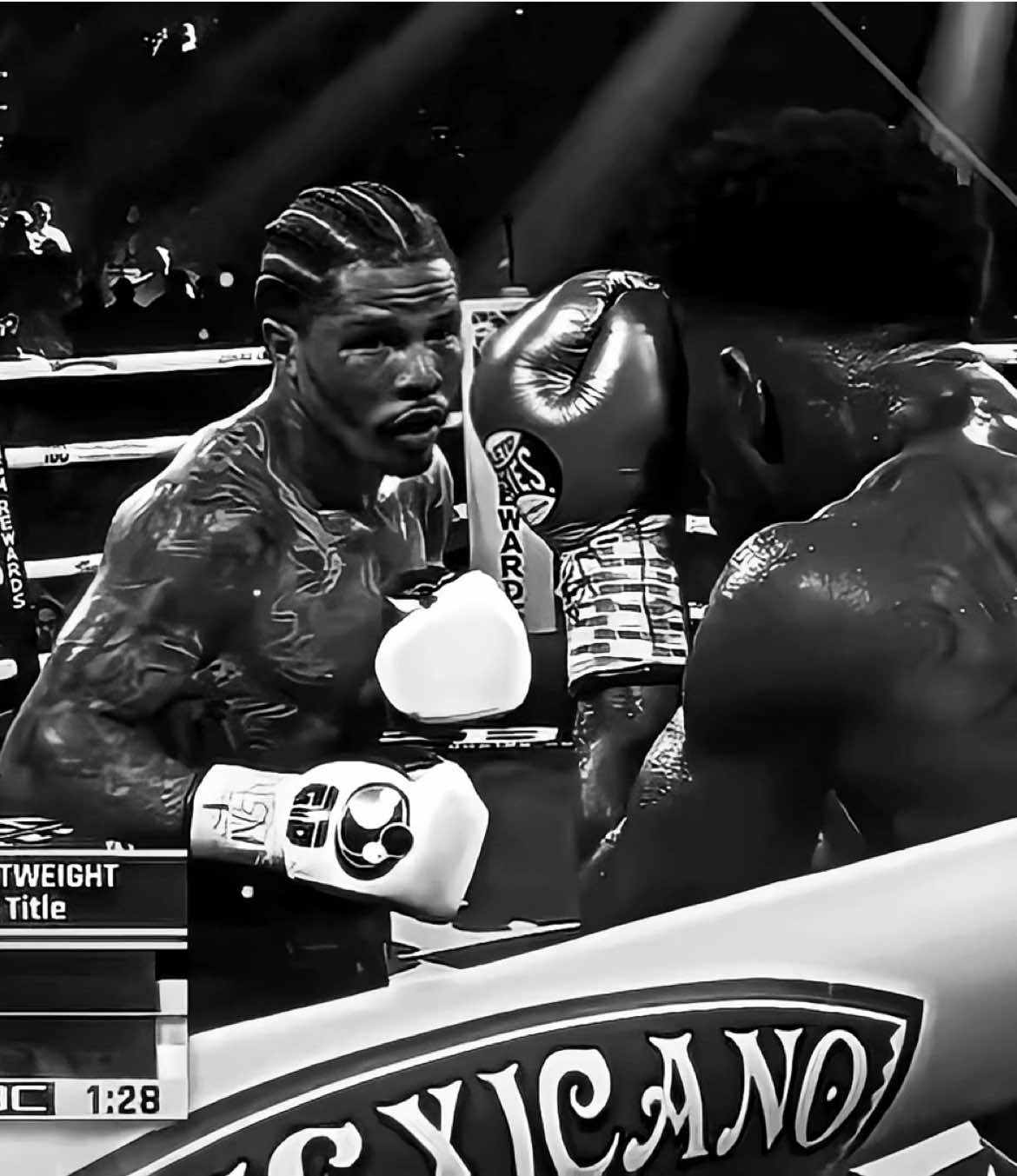@Gervonta TANK Davis