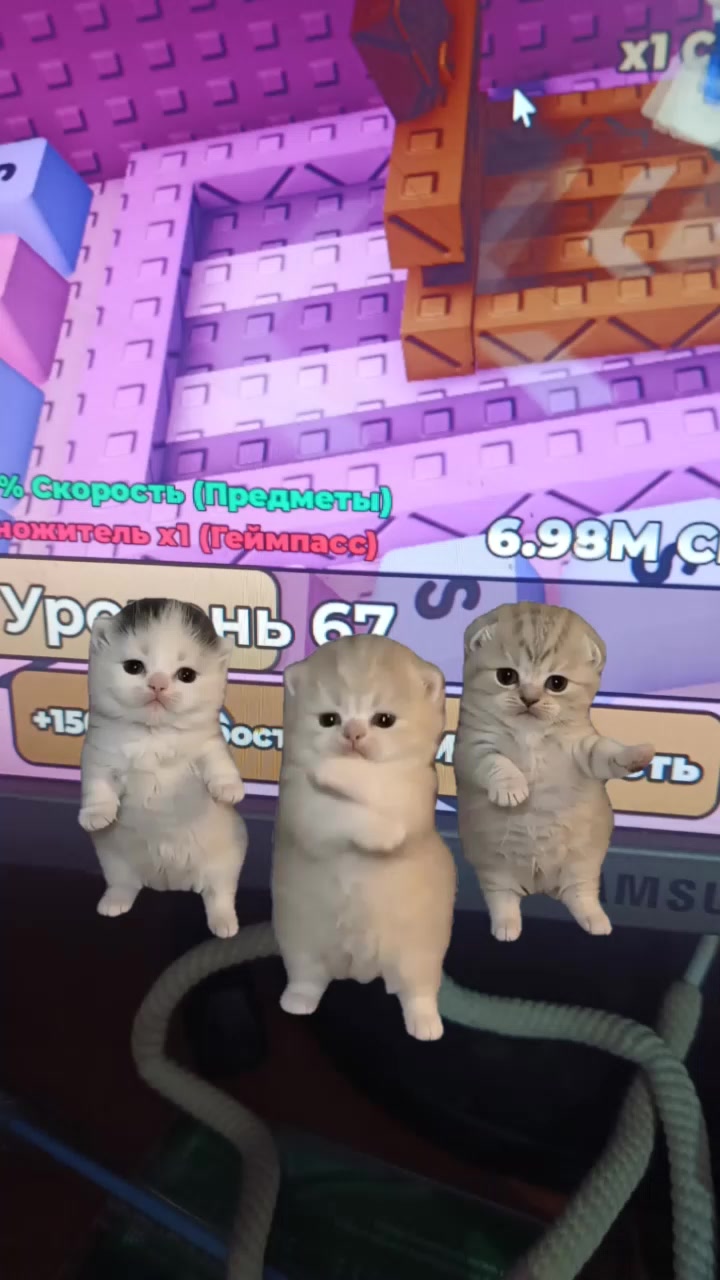 @нехор🫪6767