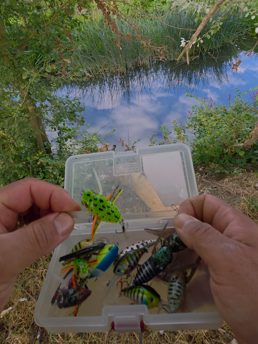 @BF Angler