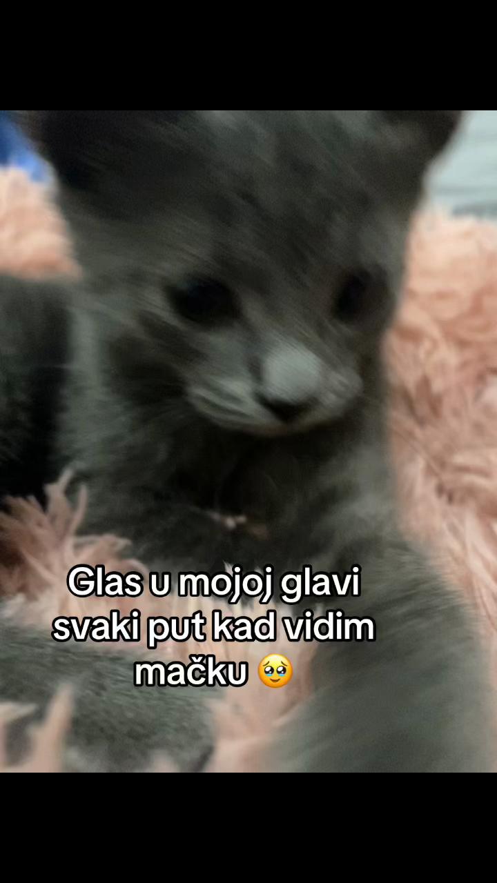 @ćeba🧸🎀