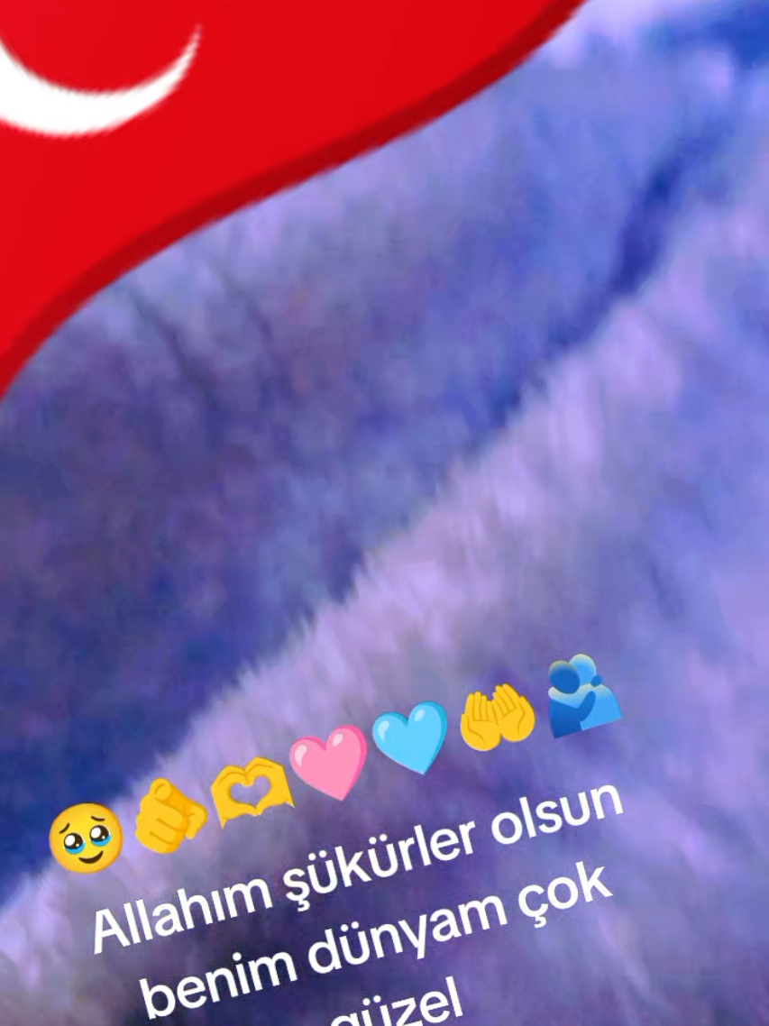 @cennet