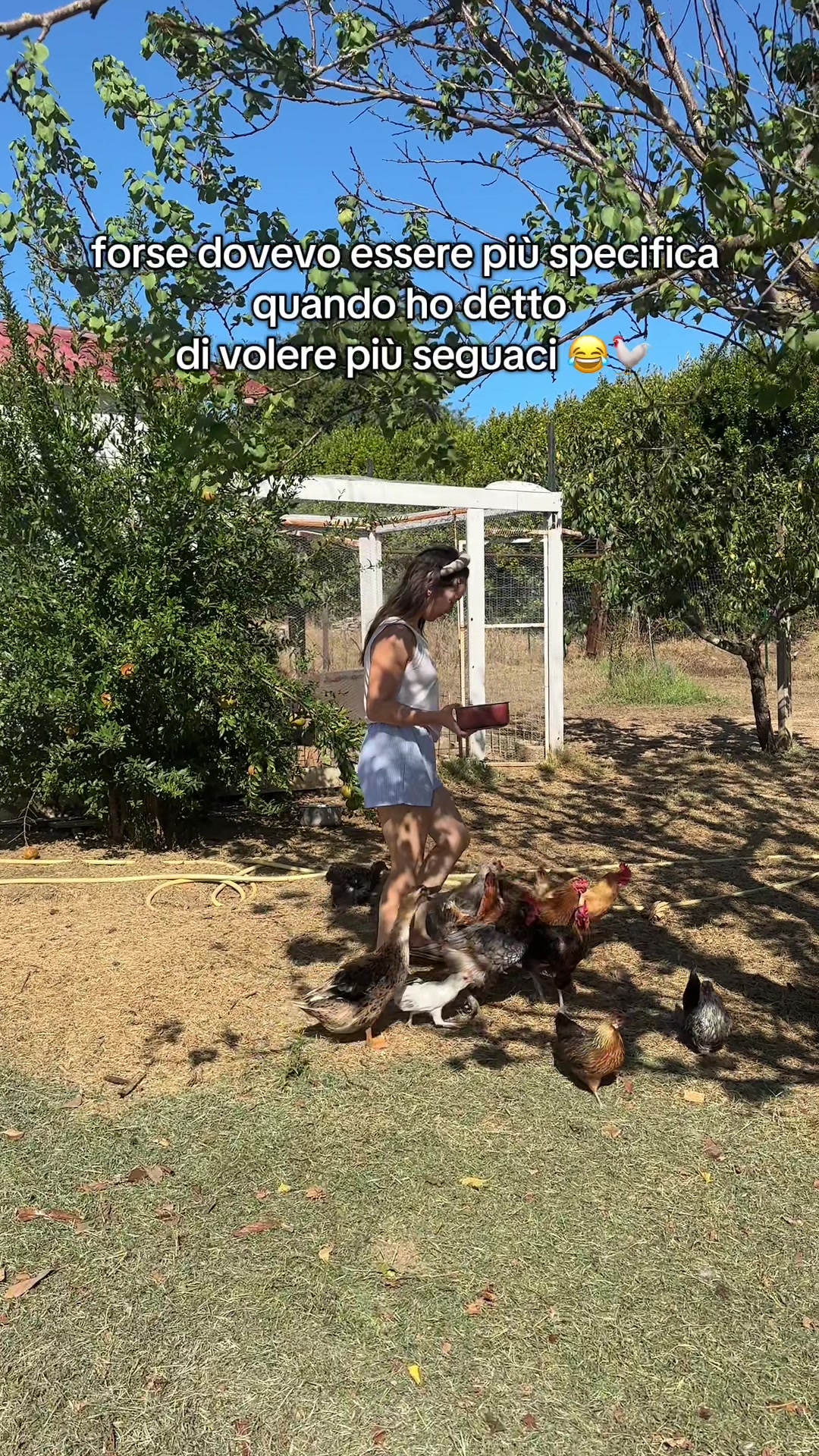 @Federica Zongoli