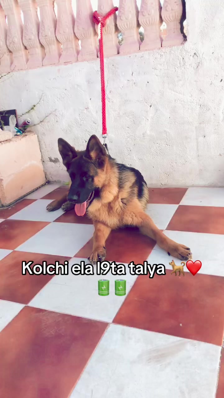 @im&auml;d b&ntilde;s 🎩🥂