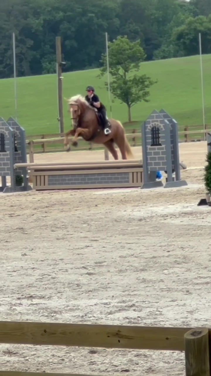 @🔥Neigh Neigh Nation🔥