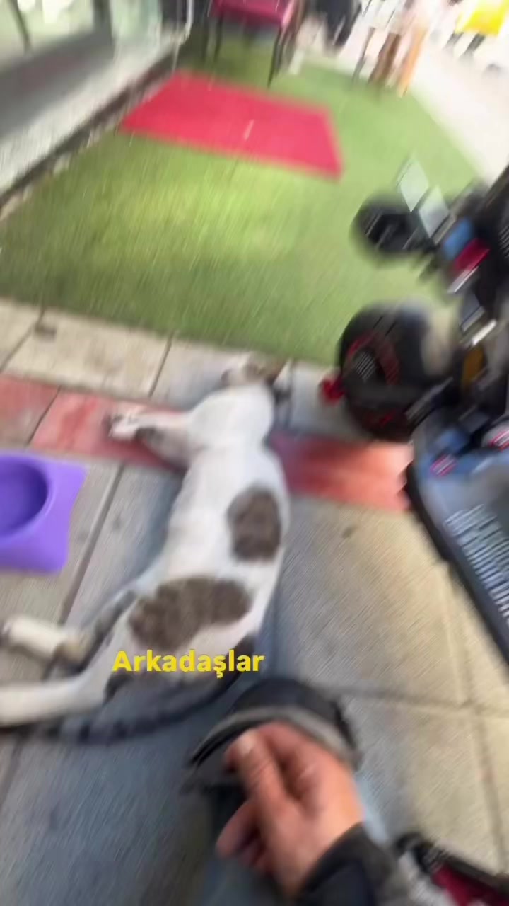 @Salim Kuntoğlu