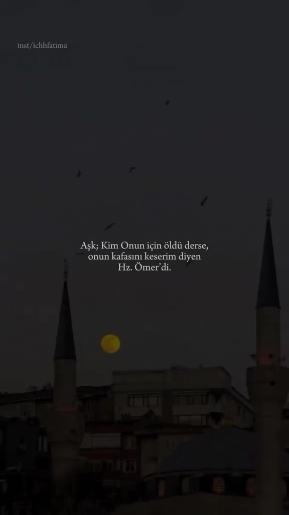 @🇹🇷🦈 Yavuz Ayık