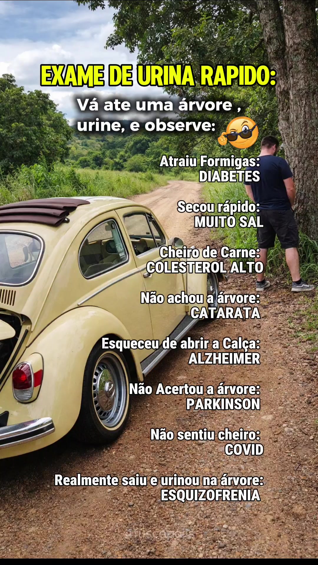 @Fuscopolis - Rafa Figueiroa