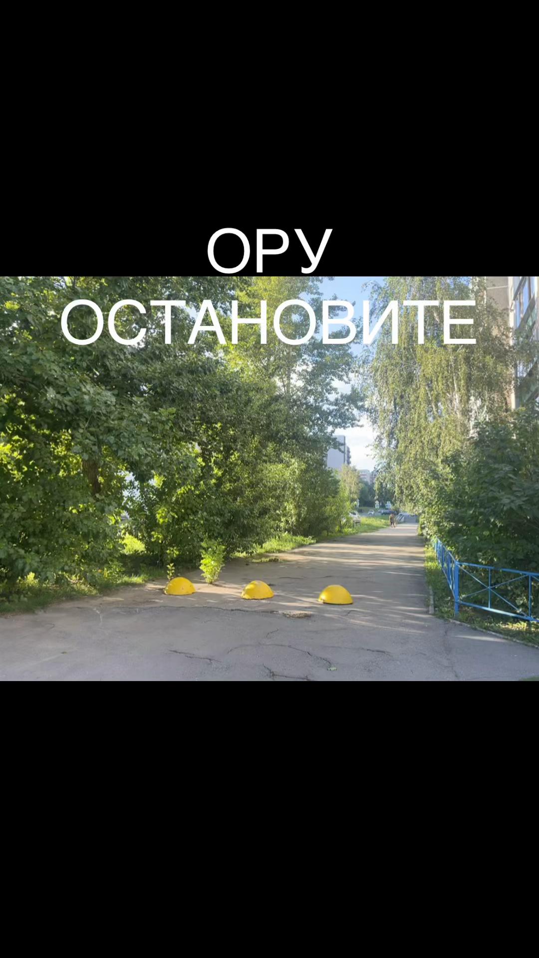 @одіскє мімоза
