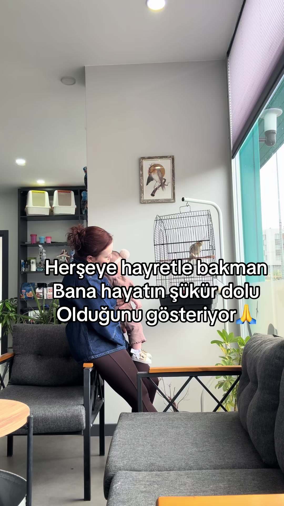 @vet.Behide