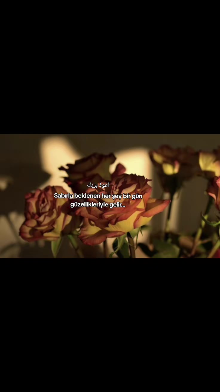 @𝐀𝐬𝐦𝐢𝐧🦋