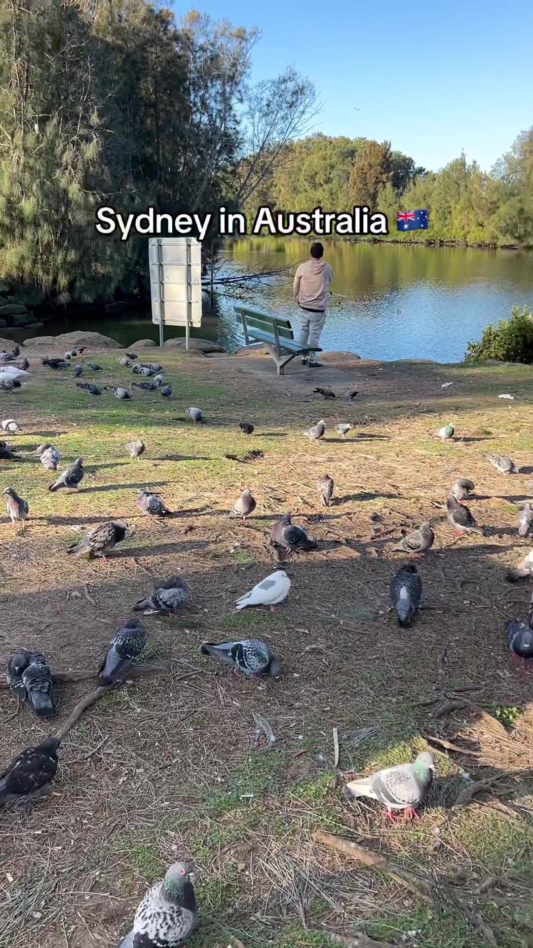 @AUSTRALIA 🇦🇺 🦘🌉