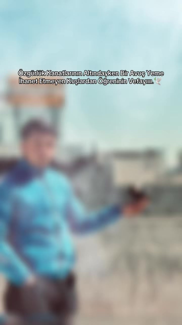 @•𝑨𝑳İ 𝒀𝑰𝑳𝑫𝑰𝑹𝑰𝑴