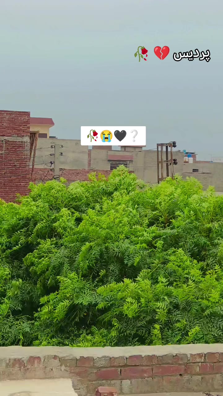 @ادنیٰ شاعر 💔🥀