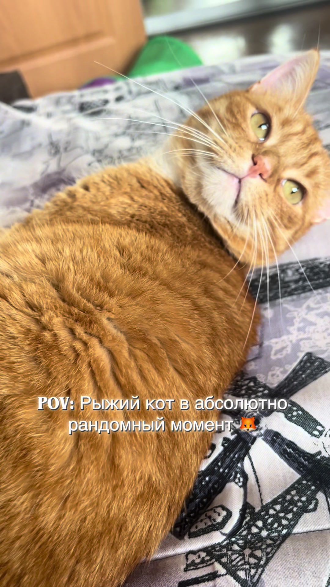 @Оля & Co🐈⬛🐈