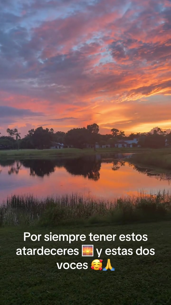 @leydisoler