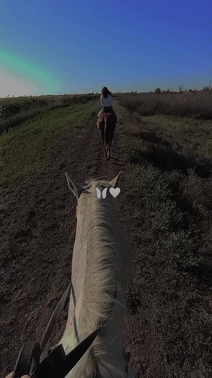 @Рина