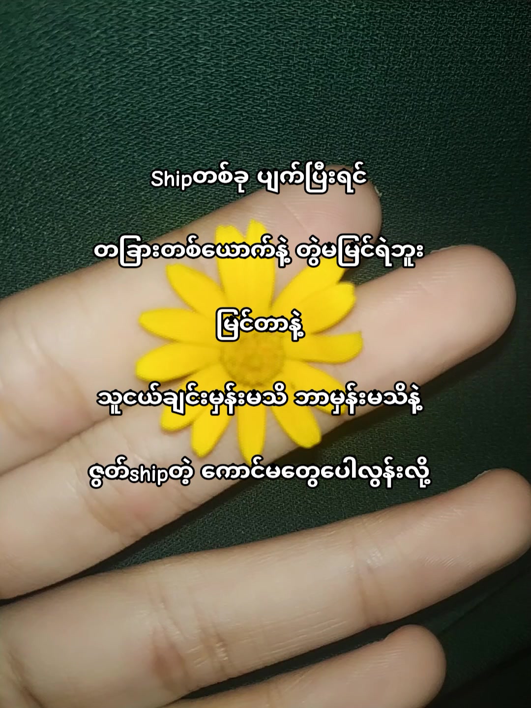 @𝙇𝙄𝙉𝙉_𝙒𝙎🍊