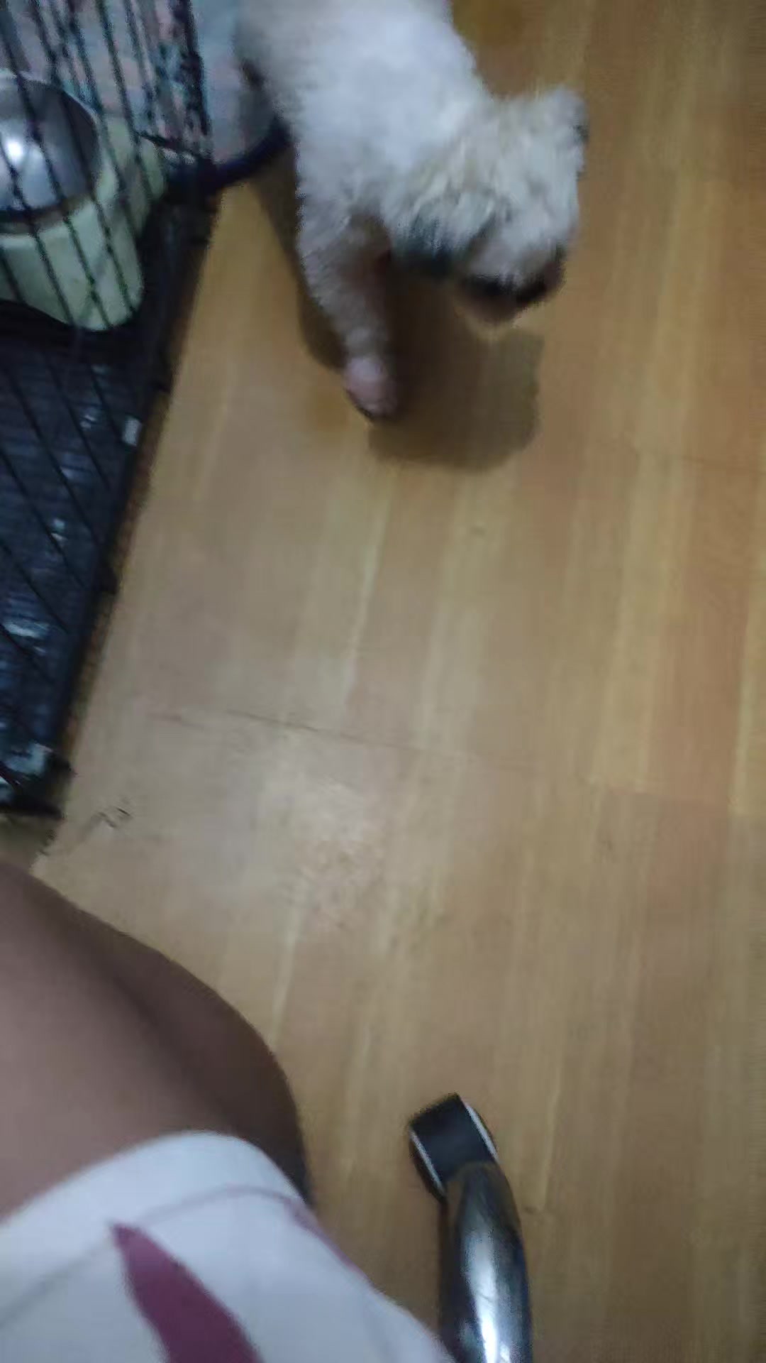 @๐ฑ๐๐