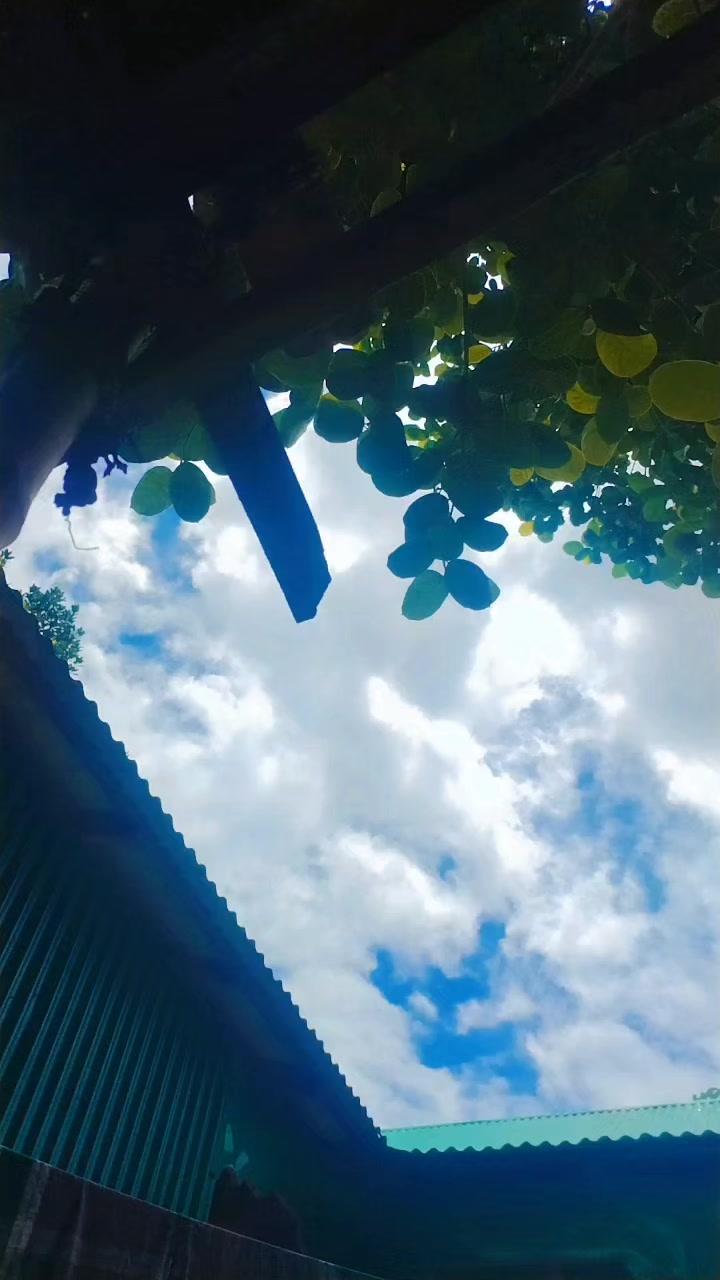 @♥️🧕 সৌদি প্রবাসীর বউ 🇸🇦🧕♥️