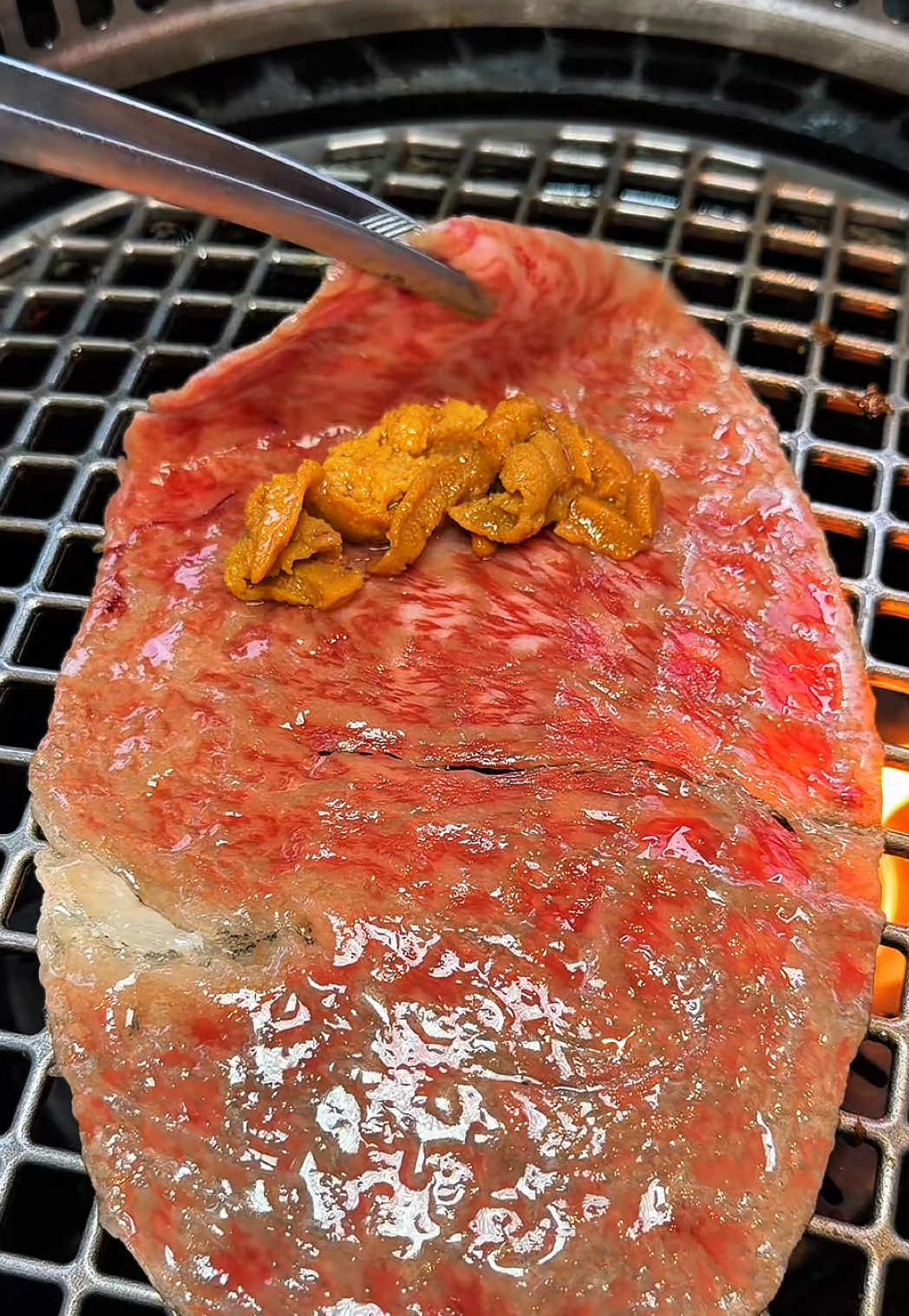 @kogi_jp_gourmet