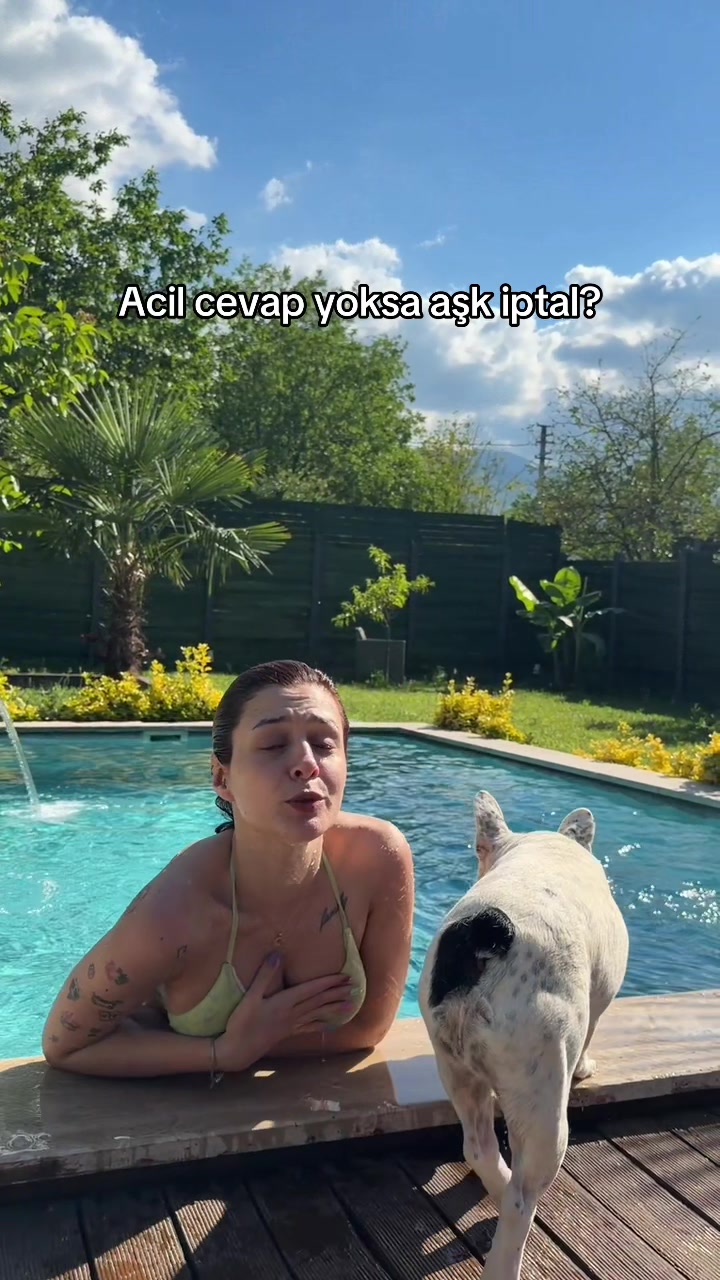 @Zelderler