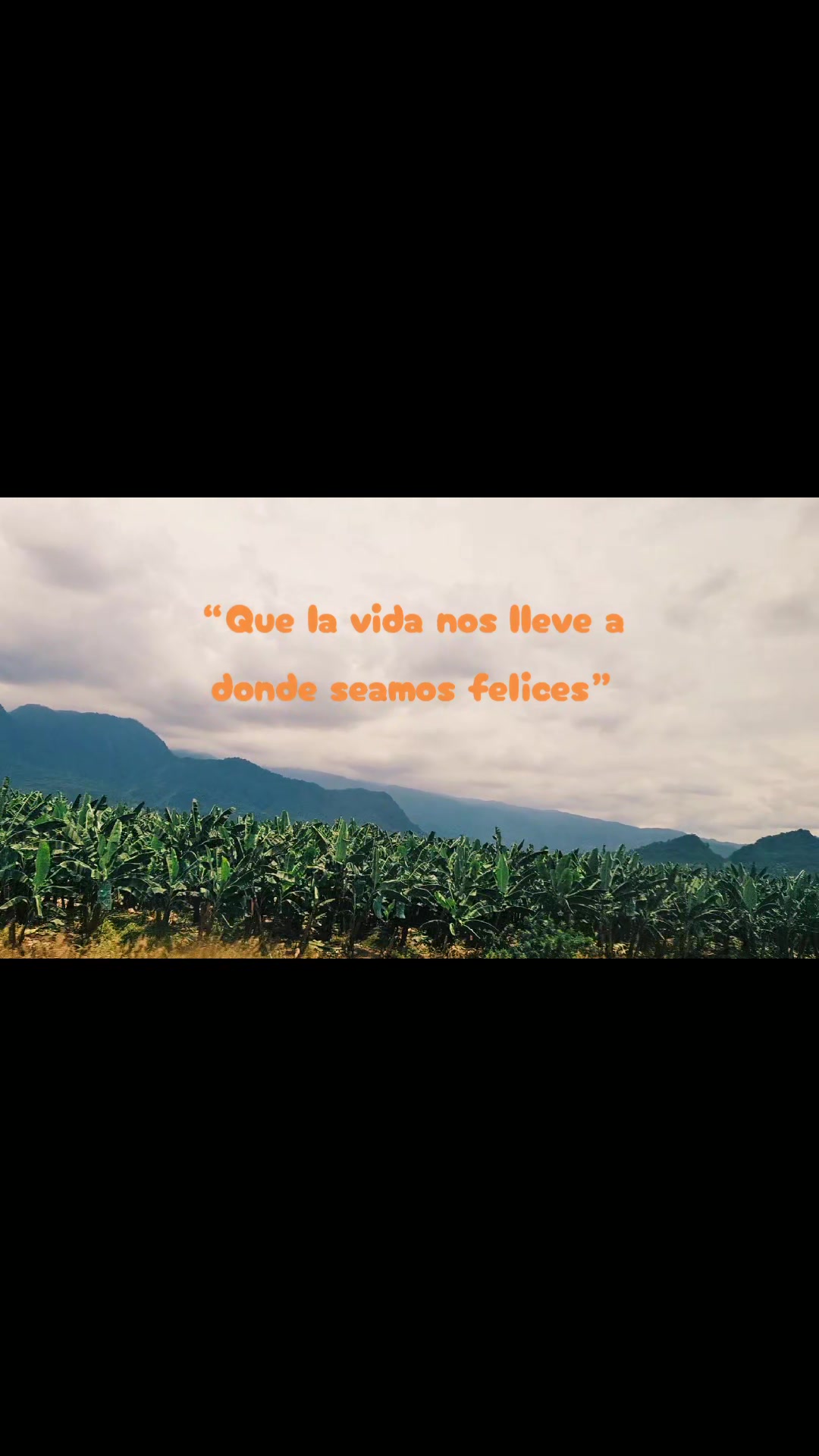 @elgranchicaiza