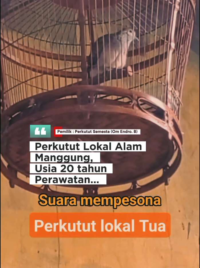 @Bintang Kecil