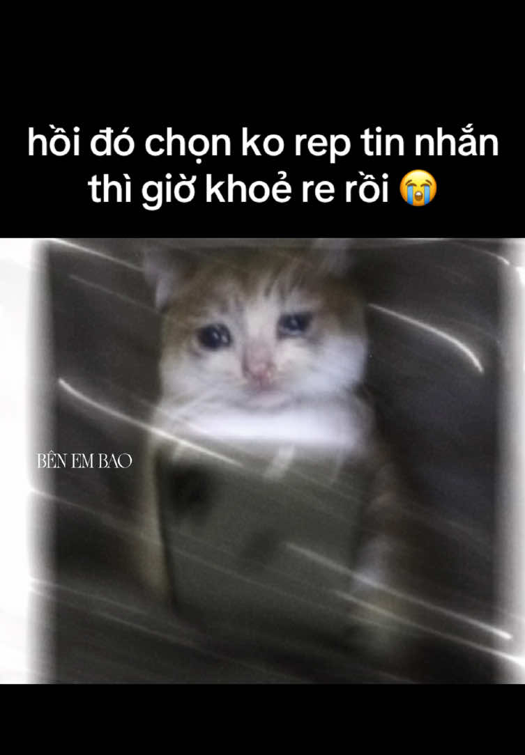 @109.92 𝑭𝑴.𝑺𝑯𝑵