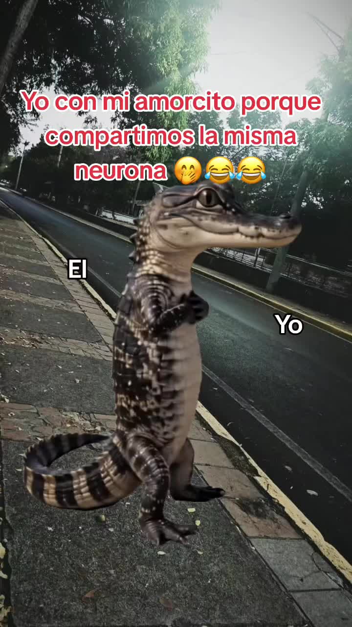 @💖 Linda Miranda 💖