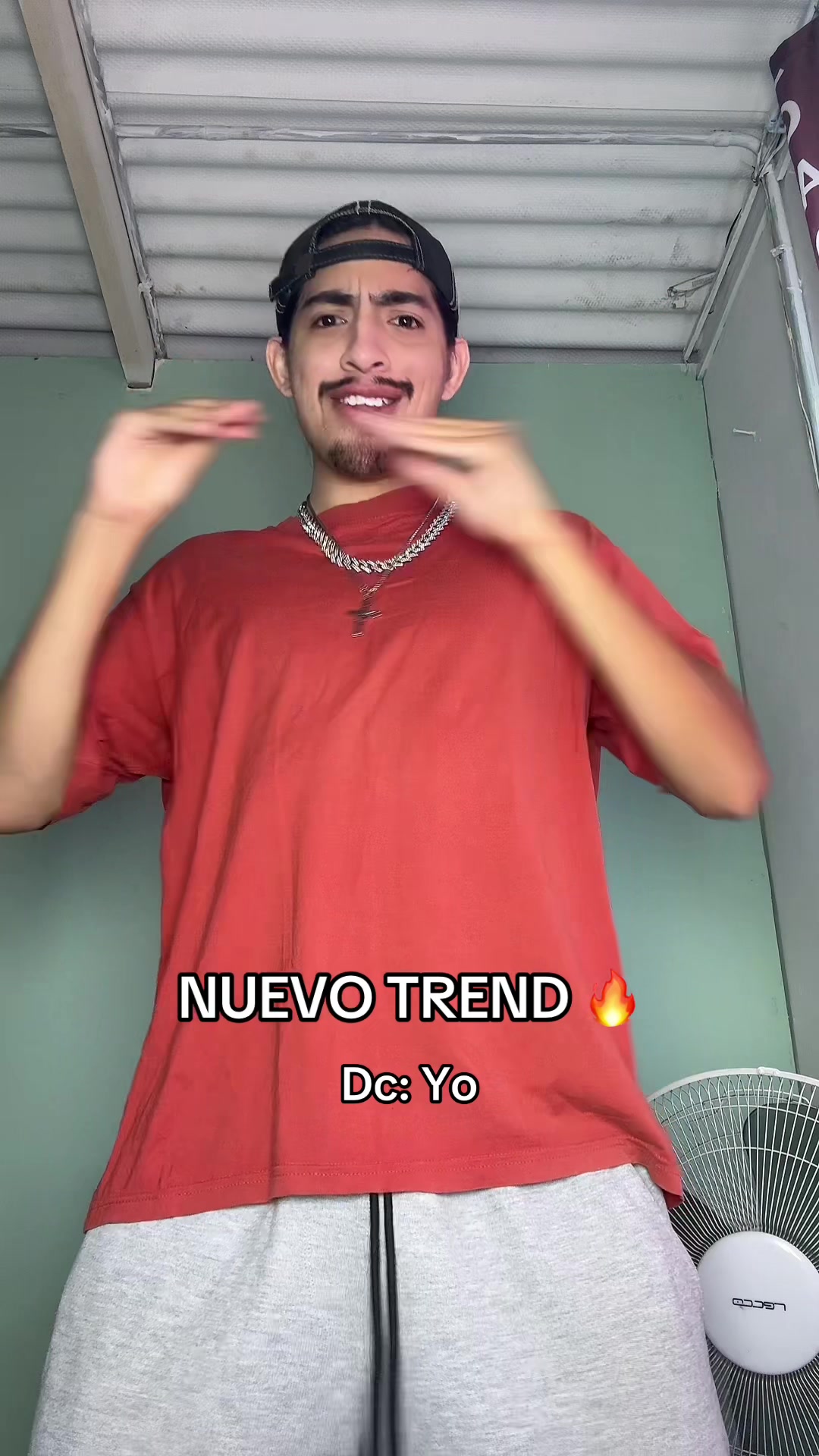 @Franzz || 🕺