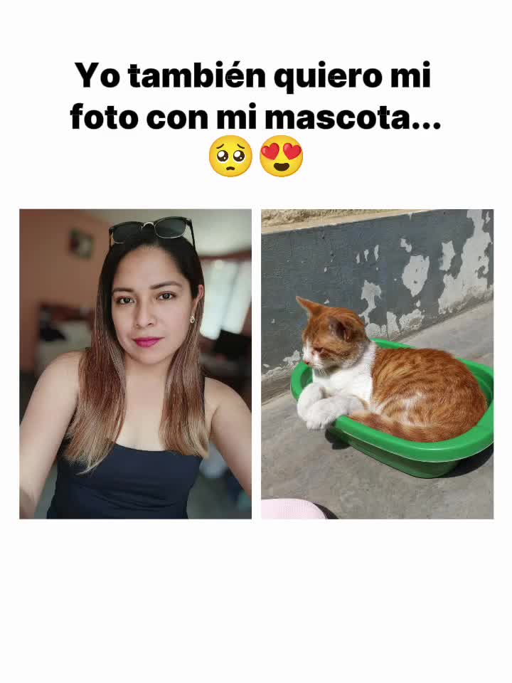 @Rosy GT